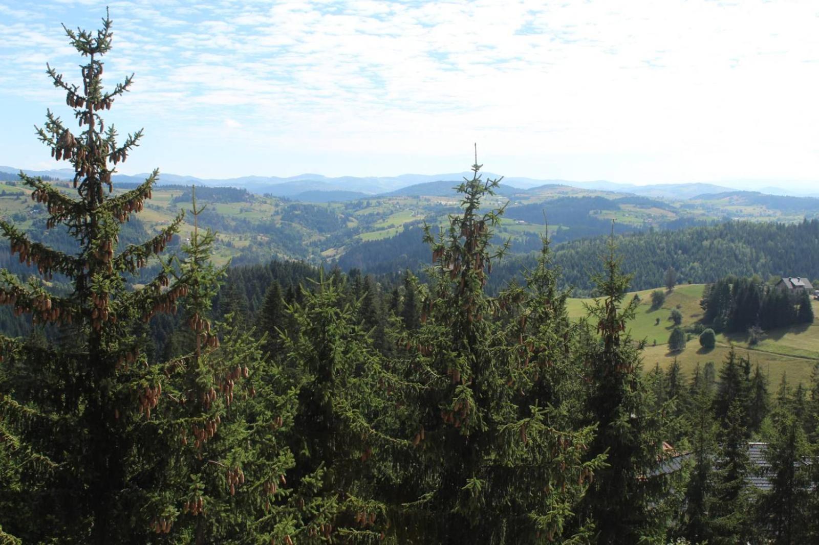 In Hotel Zlatar Ex Zlatarski Biseri Nova Varoš Dış mekan fotoğraf